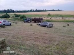 В поле у запорожской трассы ночью заметили трактор и несколько авто (Фото)