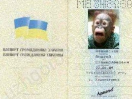 Мужчина с поддельным документом хотел попасть из Черниговской области в Россию