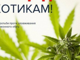 Кременчугские любители "травки" по-своему отметили Международный день борьбы с наркотиками (ФОТО)