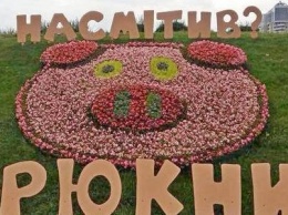 "Насорил? Хрюкни!": в Киеве появилась клумба в виде свиньи, - ФОТО
