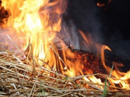 На Херсонщине охранник получил ожоги, пытаясь затушить пожар