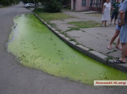 В самом центре Николаева большая лужа зацвела ярко-зеленым цветом