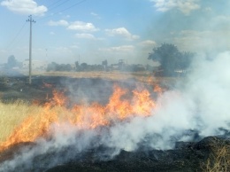 Горели камыш, сухая трава и мусор: за сутки спасатели тушили 14 пожаров в экосистемах Одесской области