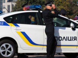 "Не избежала столкновения с камнем": полиция лишила прав киевлянку (Фото)