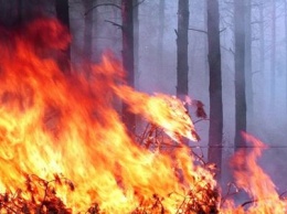 За минувшие выходные в Донецкой области произошло почти полсотни пожаров