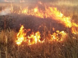 Чрезвычайная пожарная опасность объявлена на Донетчине: в Доброполье тушили пожар