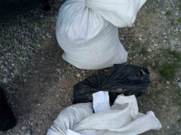 На Днепропетровщине полиция задержала мужчин с мешками сырья для наркотиков