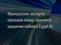 Французские эксперты признали пожар причиной крушения лайнера Egypt Air