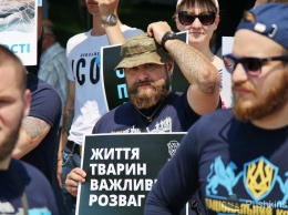«Одесса против эксплуатации дельфинов»: возле «Немо» прошла акция протеста зоозащитников. Фото