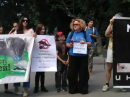 «Нет дельфинариям» и «Дельфинам море»: как харьковчане протестовали против дельфинария, - ФОТО