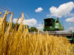 На Николаевщине намололи 1,7 миллиона тонн зерна. Средняя урожайность выше, чем год назад