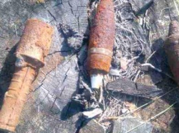 За сутки на территории Сумской области обнаружено 3 боеприпаса и еще 2 обезврежено