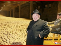 Ким Чен Ын променял госсекретаря США на картошку