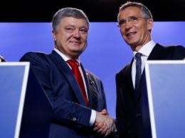 Порошенко подсказали, что приблизит Украину к вступлению в НАТО