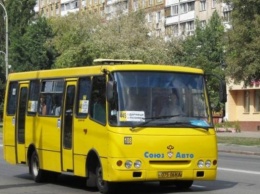 В Киеве на митинг против повышения стоимости проезда в маршрутках пришли активисты с противоположными требованиями (ФОТО)