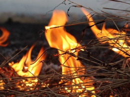 Возгорание стога сена в одесском селе привело к его большим потерям