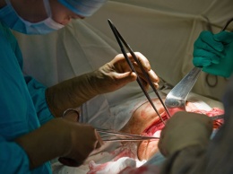 ФПИ проведет конкурс на лучшую технологию восстановления органов человека