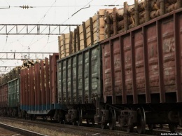 Украина бьет рекорды по экспорту в ЕС незаконной древесины
