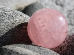 Ученые: Розовый оказался древнейшим цветом на Земле