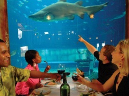 Романтический ужин с акулой и другими обитателями подводного мира: экскурс по ресторанам, которые находятся под водой