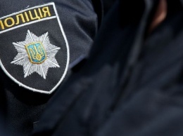 Житель Запорожской области ударил на Дне металлурга полицейского