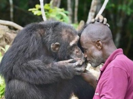«Плачет и обнимает»: Самый одинокий шимпанзе в мире впервые нашел друга