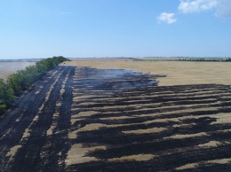 На Николаевщине фермер поджег стерню на поле и спровоцировал масштабный пожар