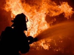 Пожар под Мелитополем наделал серьезных бед