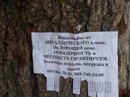 Приемщики металла обклеили столбы и деревья своей рекламой (фото)