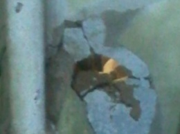 Руки не оттуда: в Запорожской области горе-ремонтник проломил соседям стену (ФОТОФАКТ)