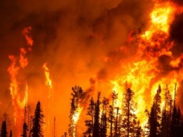 В Свердловской области тушат два лесных пожара