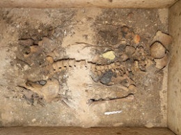 В Греции археологи обнаружили старинную гробницу с множеством драгоценностей