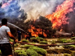 По меньшей мере 80 человек погибли из-за пожаров в Греции