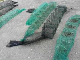 Черноморский рыбоохранный патруль предупредил убытков почти на 2 млн грн