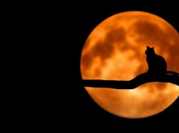 Сегодня павлоградцы смогут увидеть самое длинное лунное затмение века