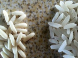 Вот как проверить, настоящий рис перед вами или? пластиковый?
