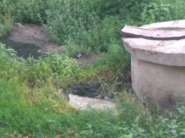 В Запорожской области возле дома директора КП хлещет вода