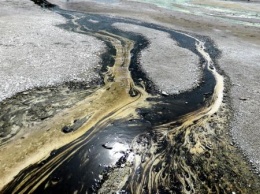 Жители Ржевки обеспокоены нефтью в ручье Горелый