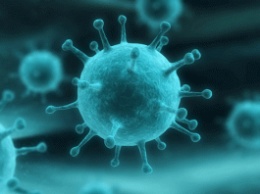 Ученые предупредили о новом смертельном вирусе