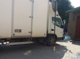 В Тернопольской области автомобиль выехал на тротуар и сбил насмерть восьмилетнюю девочку