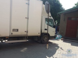 В Тернопольской области грузовик выехал на тротуар с сбил насмерть восьмилетнюю девочку - полиция