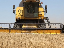 Крым приостановит вывоз зерна за рубеж из-за низкого урожая