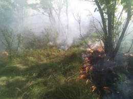 Вчера возгорания сухостоя и мусора тушили в Новотроицком, Скадовском, Геническом, Великолепетихском, Нововоронцовском и Корабельном районах
