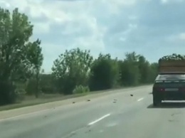 Полосатые "бомбы": в Крыму на трассу из грузовика посыпались арбузы