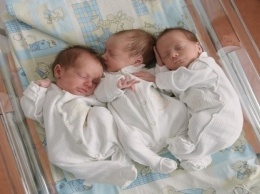 Тройное счастье: как чувствует себя мама тройняшек из Верхнеднепровска?