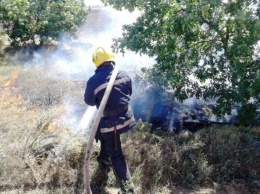 Вчера на Херсонщине тушили десять пожаров на открытых территориях