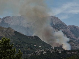В горах Крыма вблизи Ялты вспыхнул сильный пожар