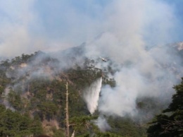 Масштабный лесной пожар в оккупированном Крыму сняли с воздуха
