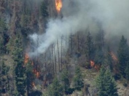 Лесной пожар под Ялтой ликвидирован