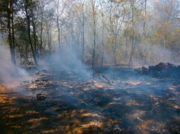 За прошедшие сутки на Николаевщине трижды горели леса